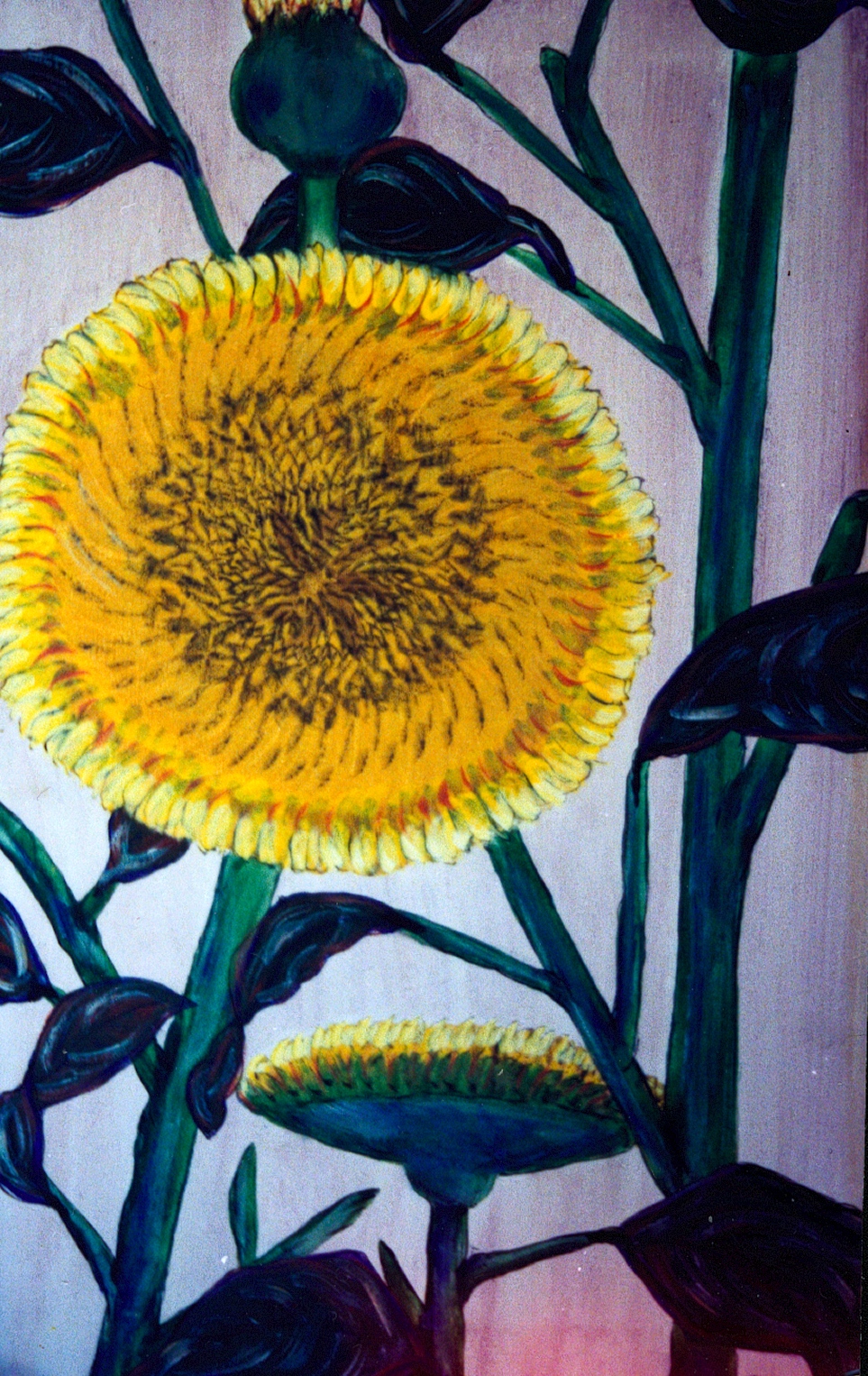 A painting by the artist James Foort called: Sunflower